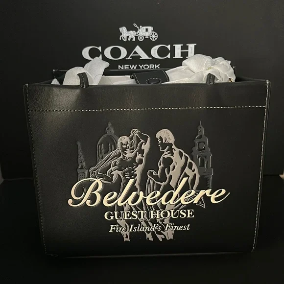 NWT Coach Belvedere Cashin Carry 22 Fire Island Graphic Leather Purse Handbag - Picture 9 of 15